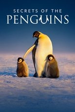 Secrets of the Penguin (2025)