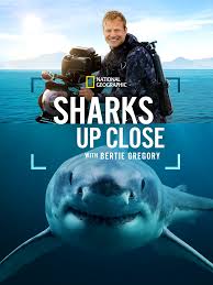 Sharks Up Close with Bertie Gregory