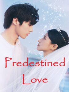 Predestined Love (2026)